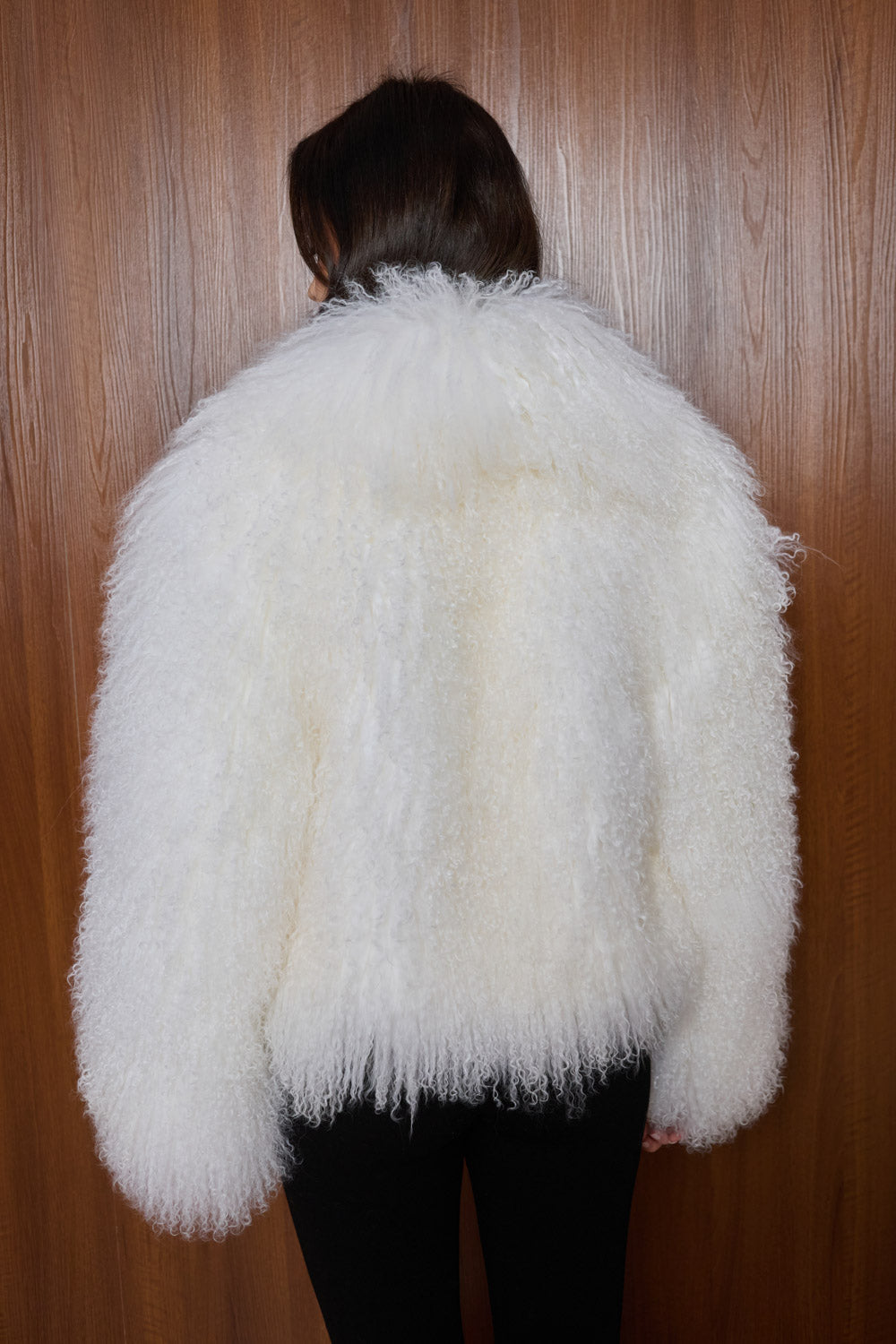 haina din miel tibetan/oaie mongoleza alba, Mareus